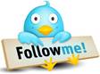 Description: Twitter icon